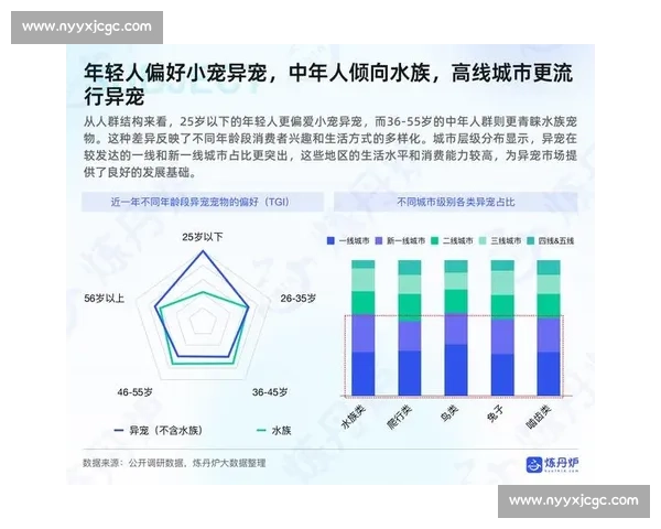 13对24的对比分析：探索两者之间的差异与发展潜力